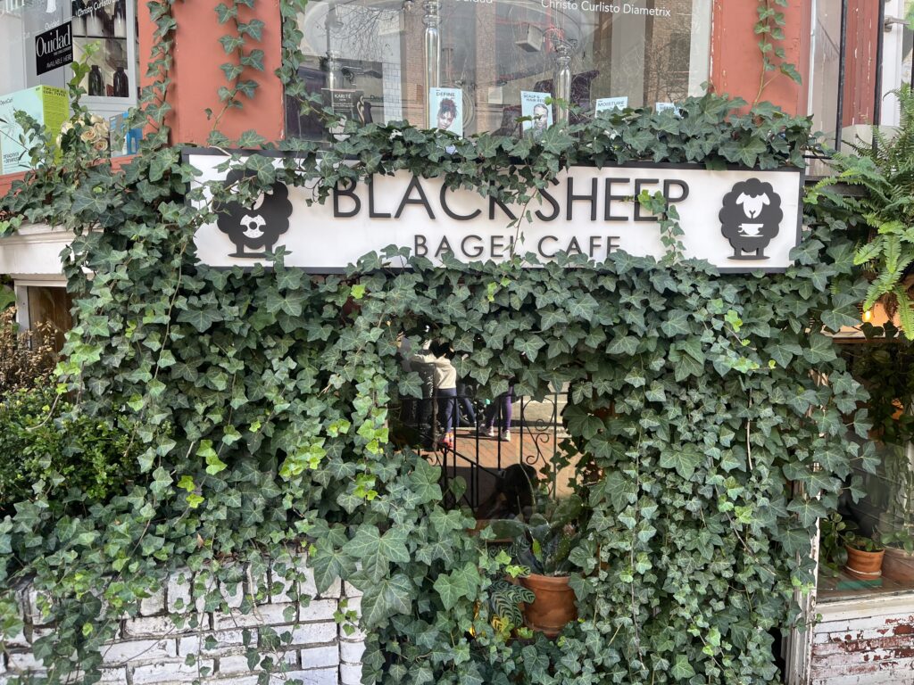  Black Sheep Bagel Cafe